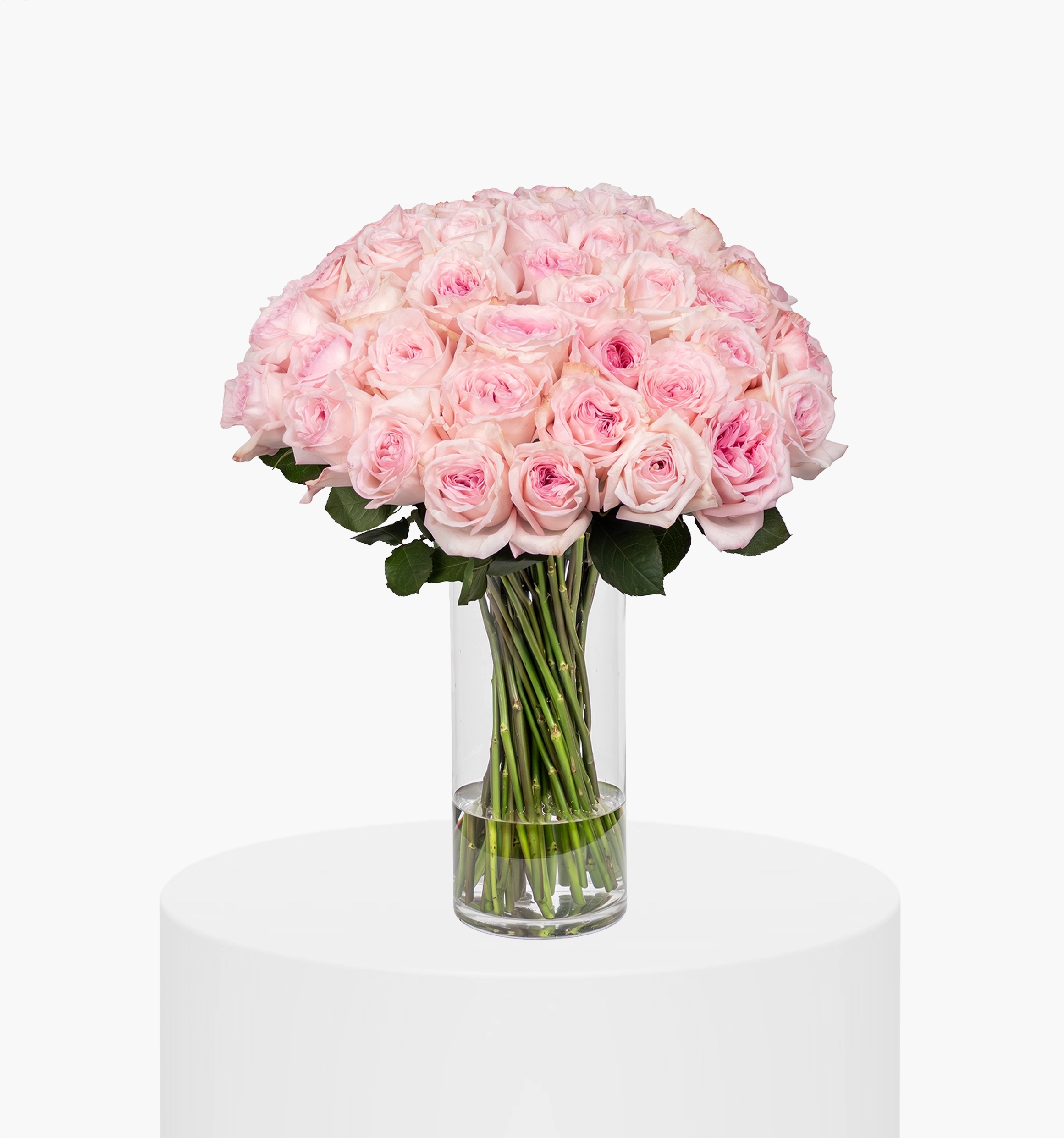 Ohara Pink Rose Premier Vase