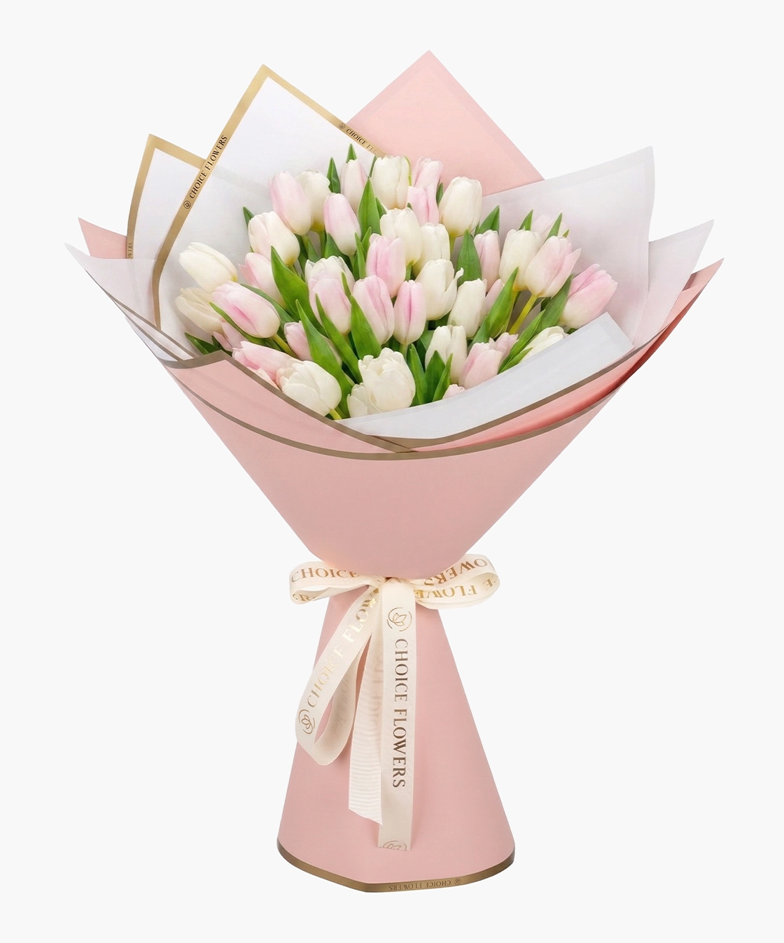 Tulip flowers