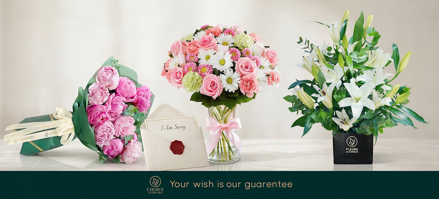 10 Best Apology Flowers to Say Sorry — Meanings, Colors & Expert Guide