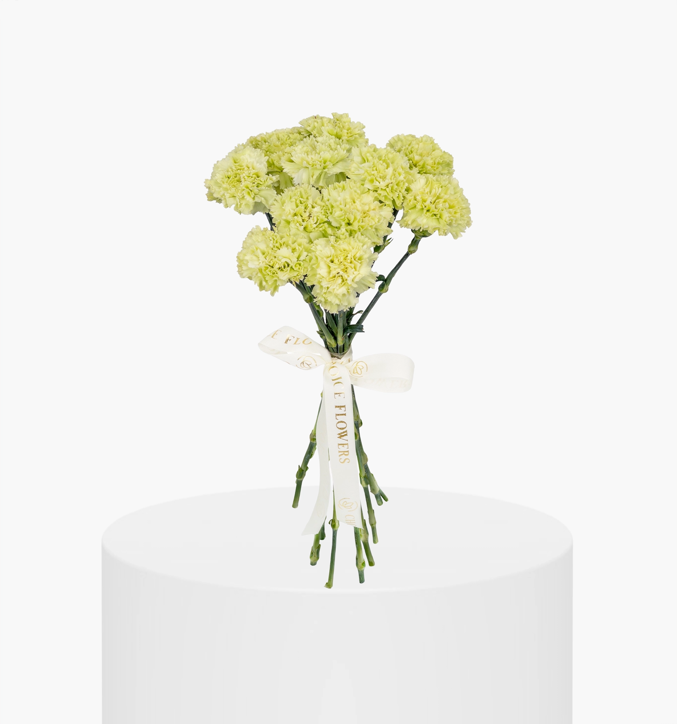 Light Peach Carnation Bunch UAE