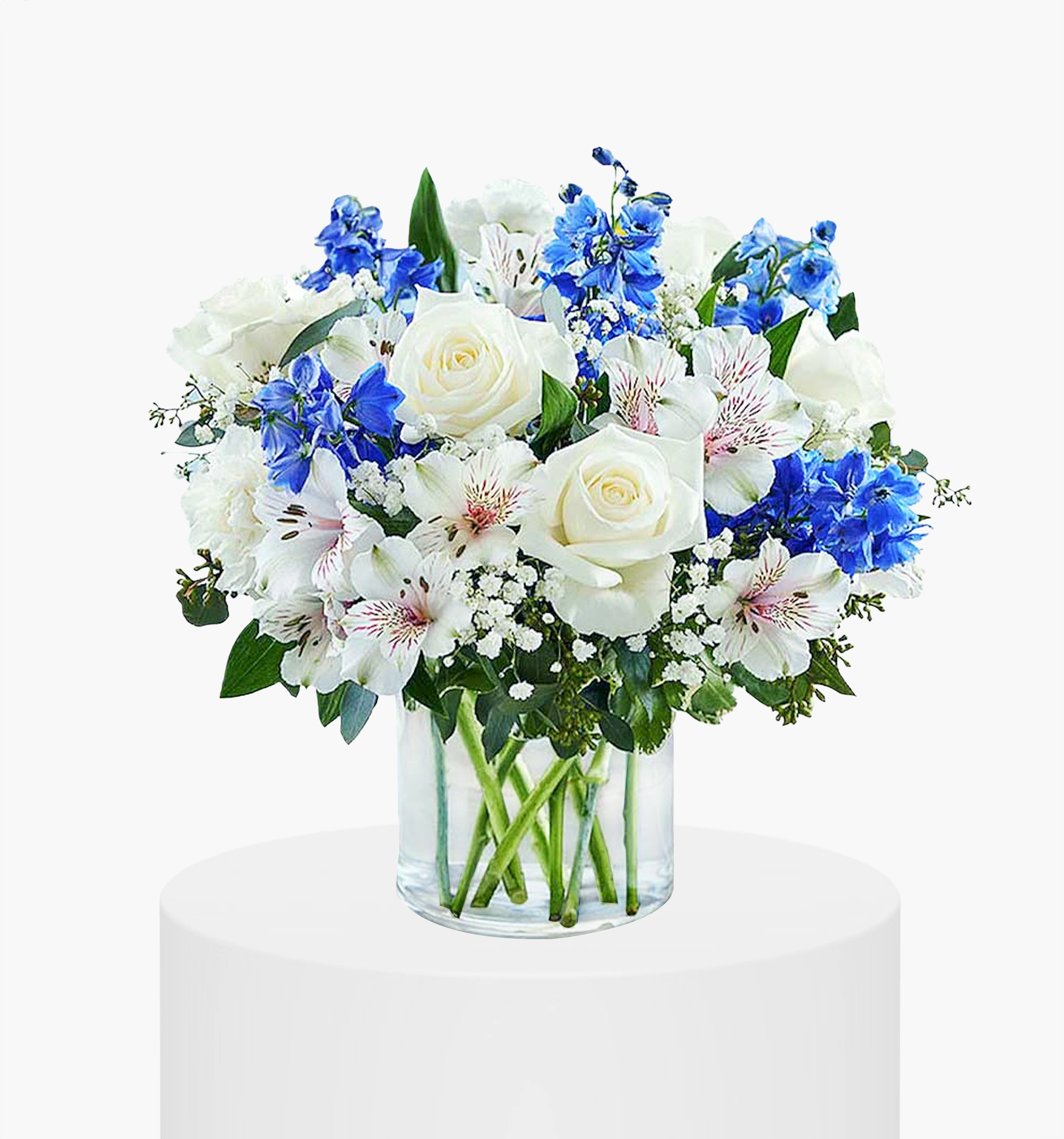 Welcome to the World Vase UAE