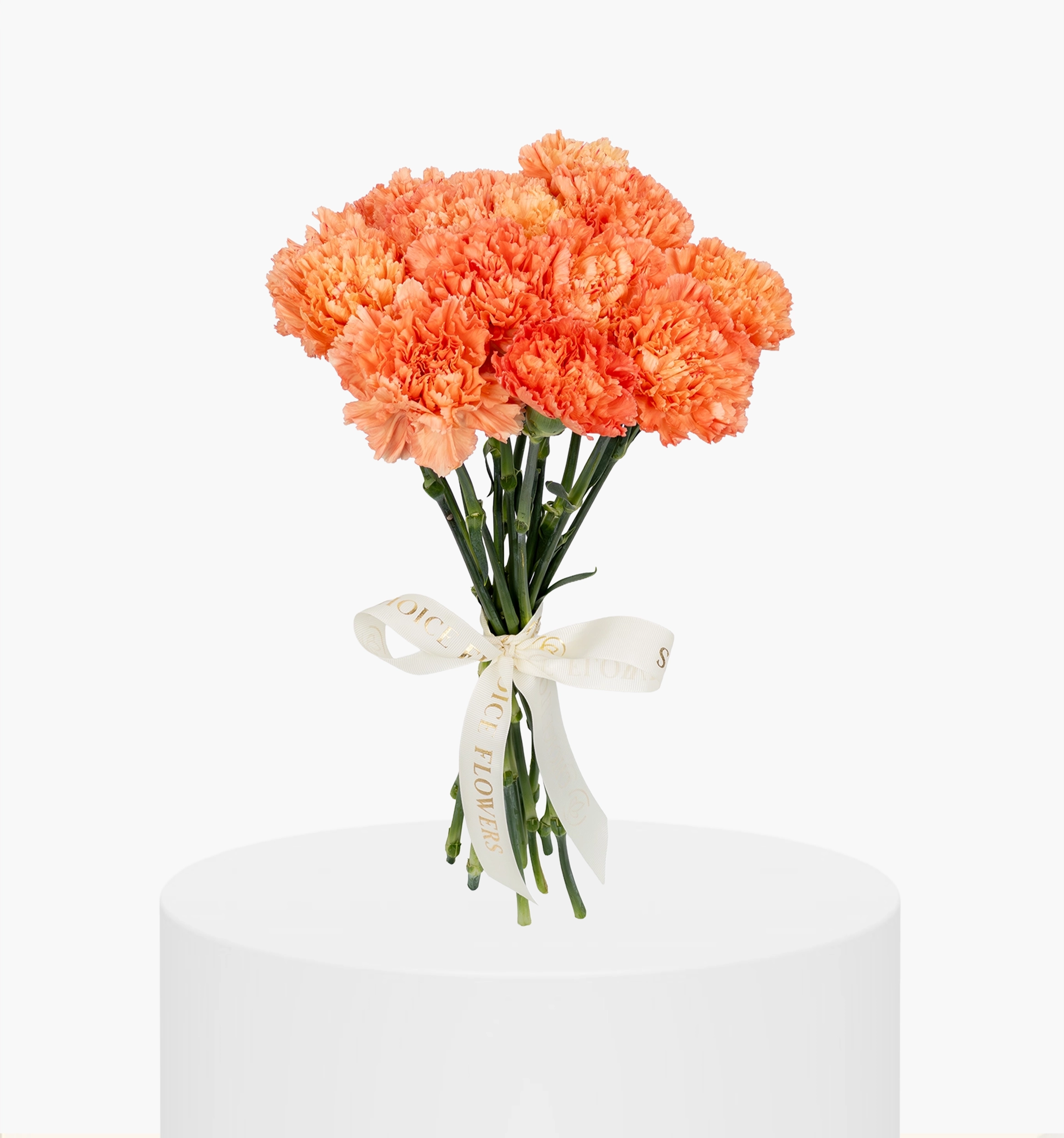 Light Peach Carnation Bunch UAE