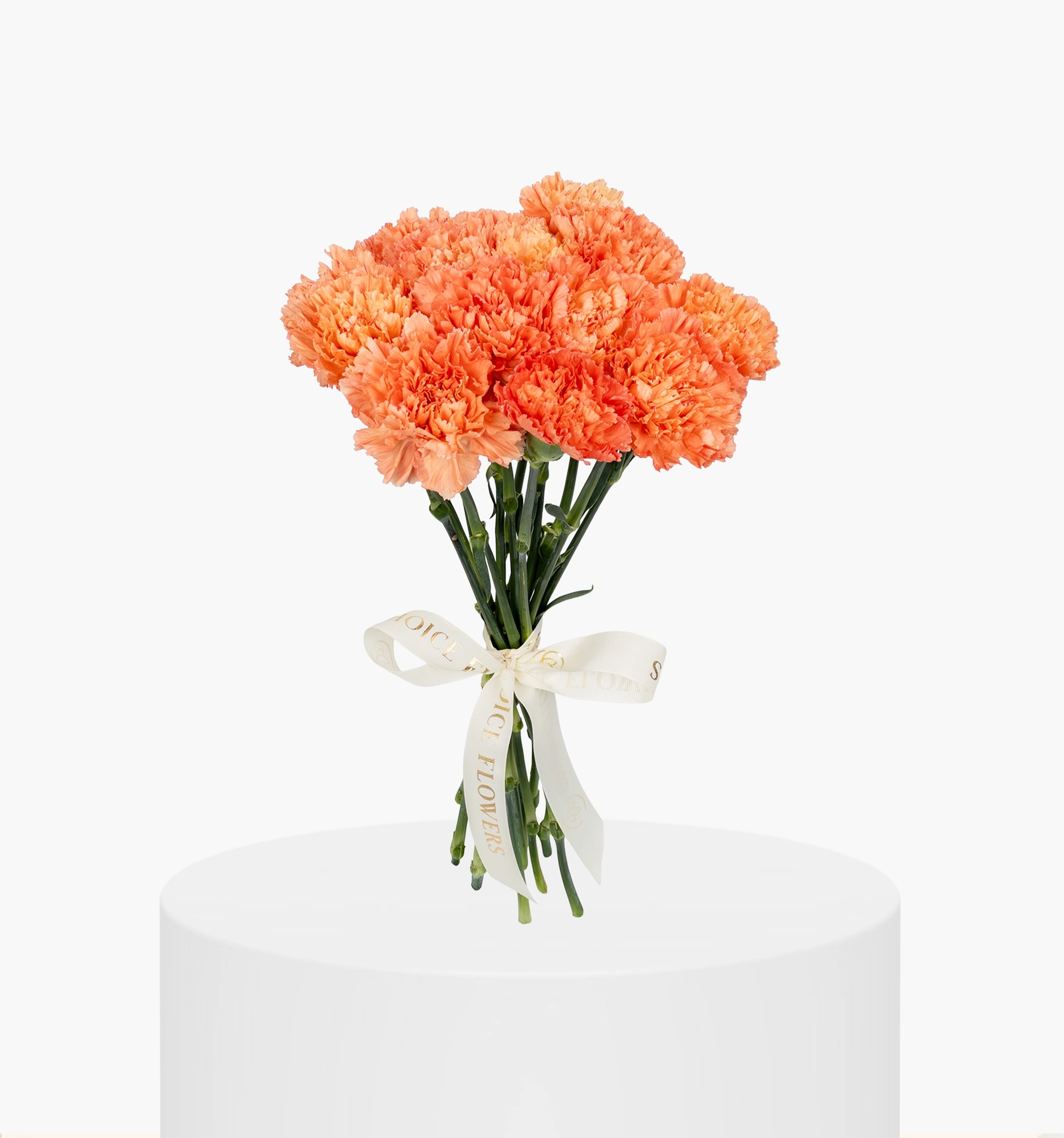 Light Peach Carnation Bunch UAE