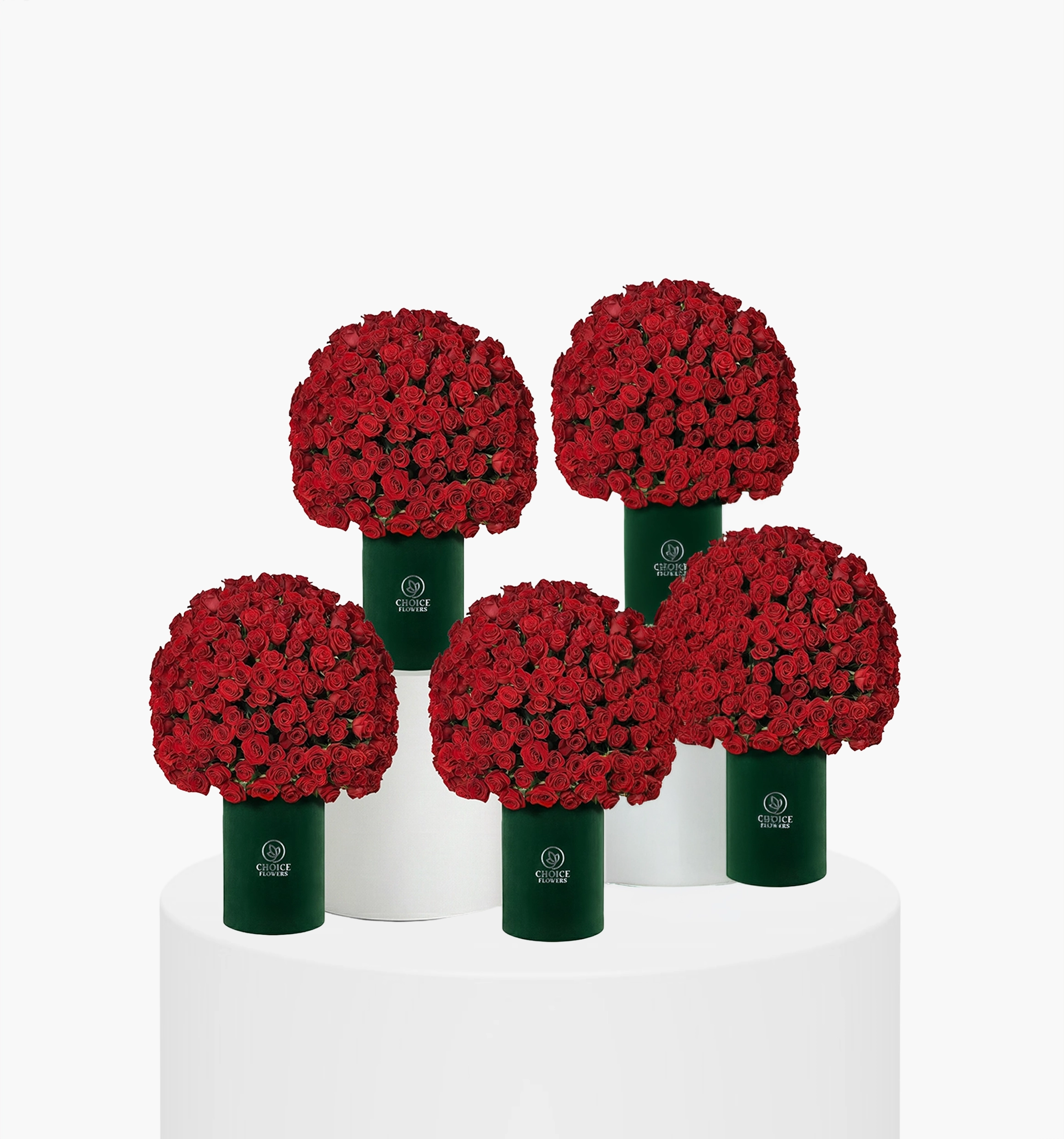 Queens Regal Roses UAE