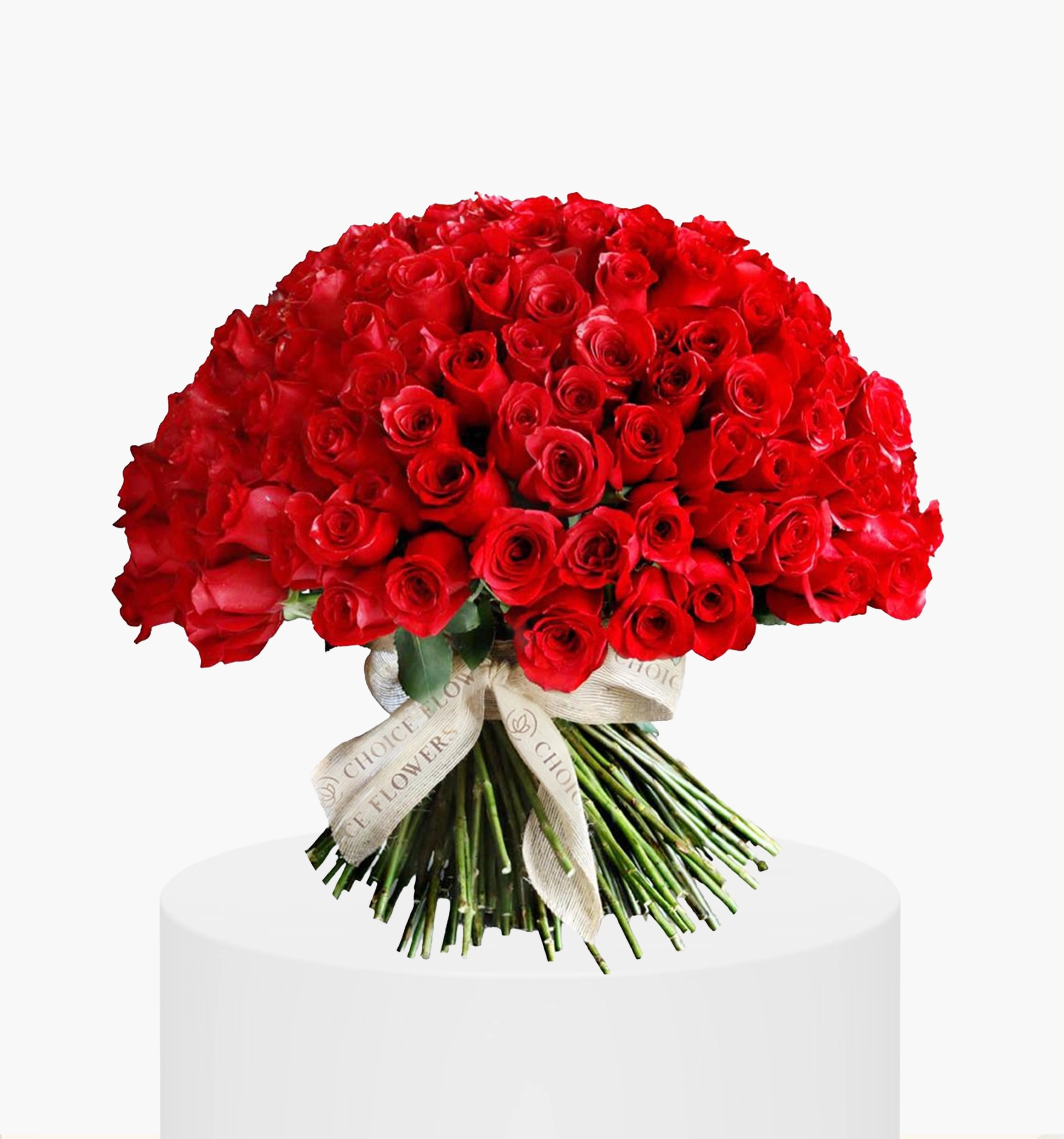 Charmey Red Roses