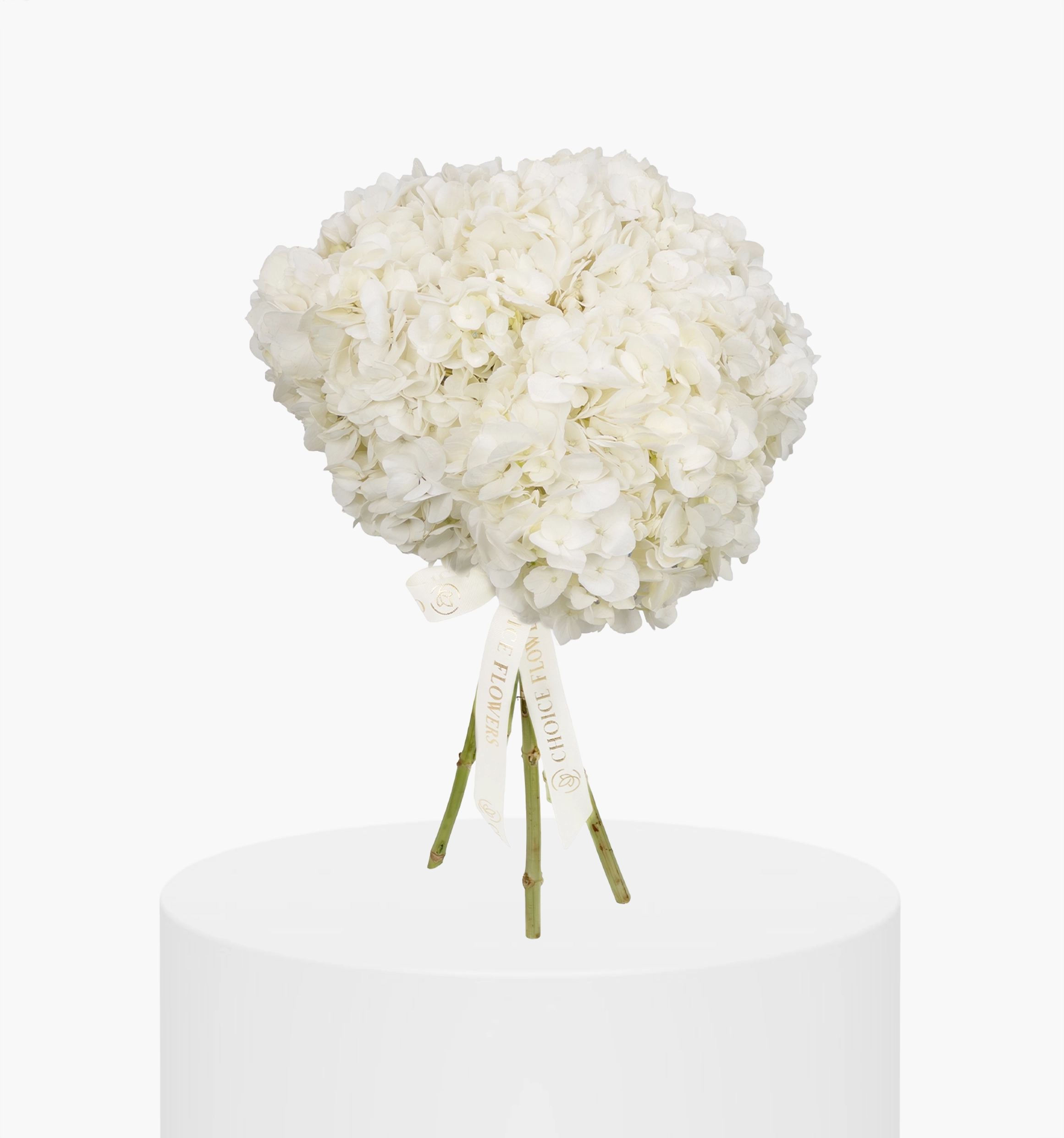 White Hydrangea Bunch UAE