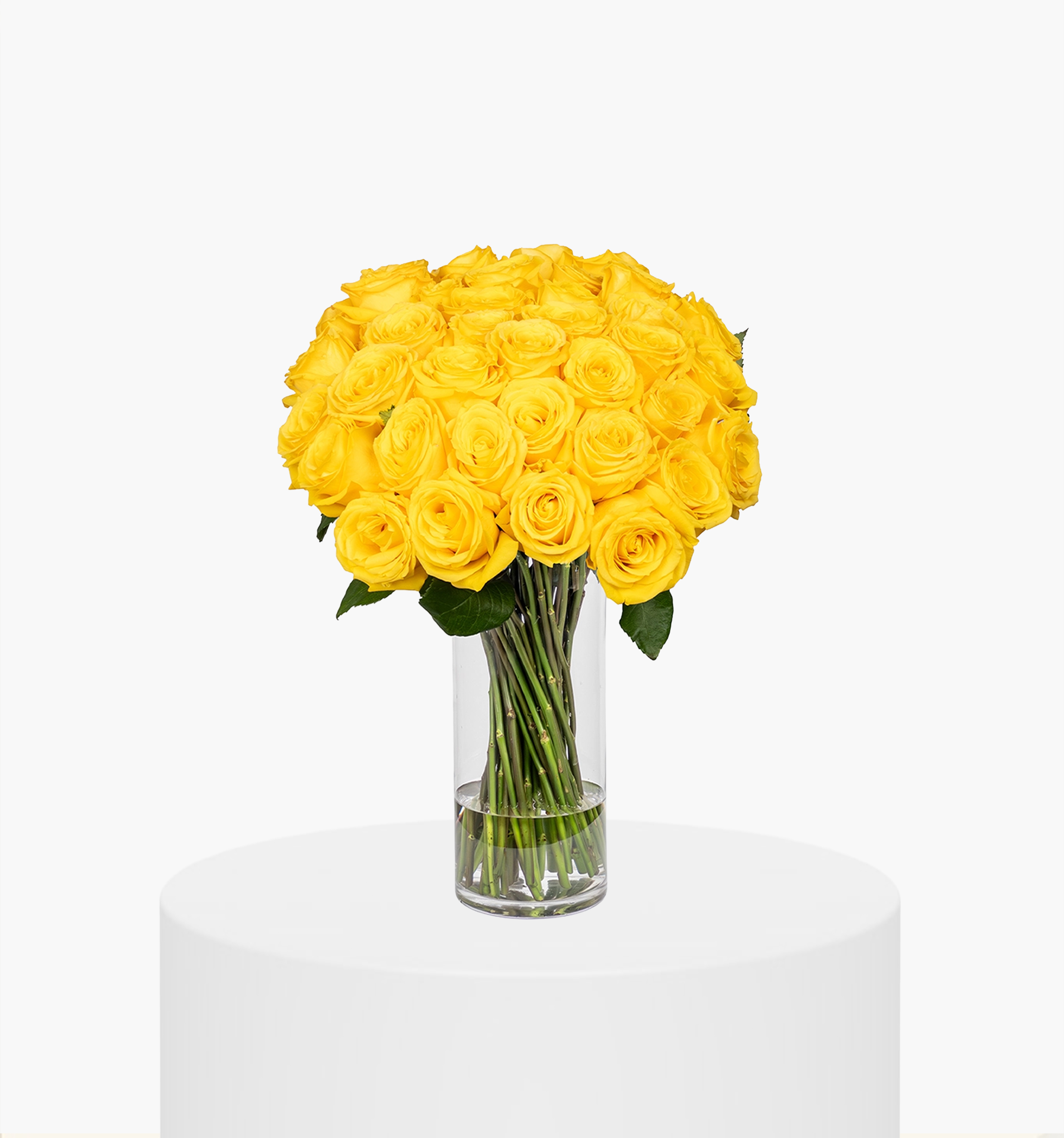 Yellow Rose Premier Vase