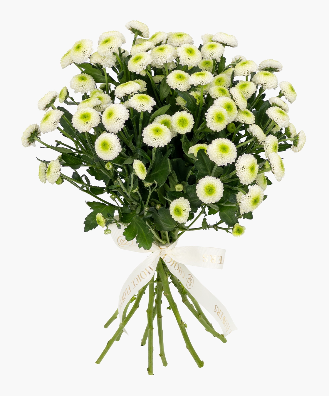 White Chrysanthemum Santini Bunch