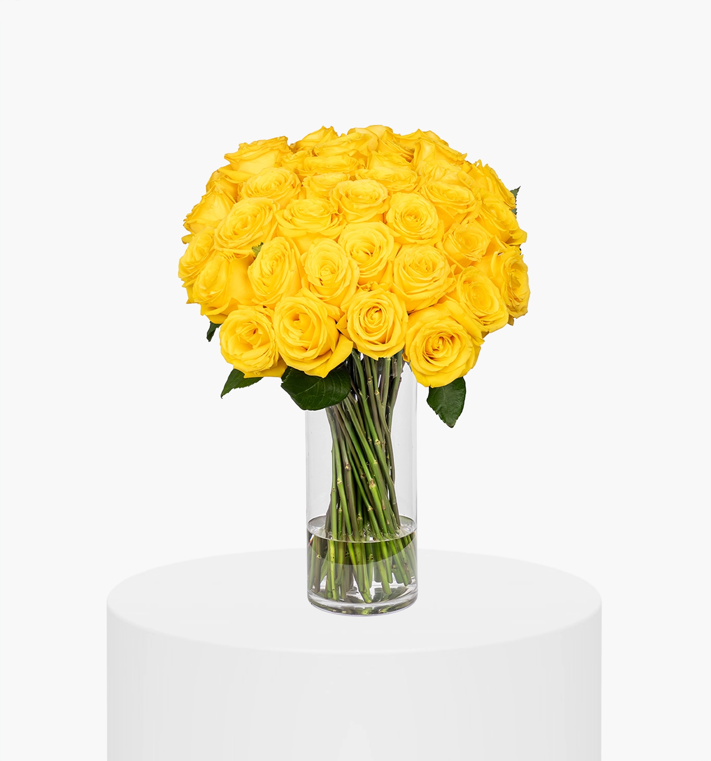 Yellow Rose Premier Vase