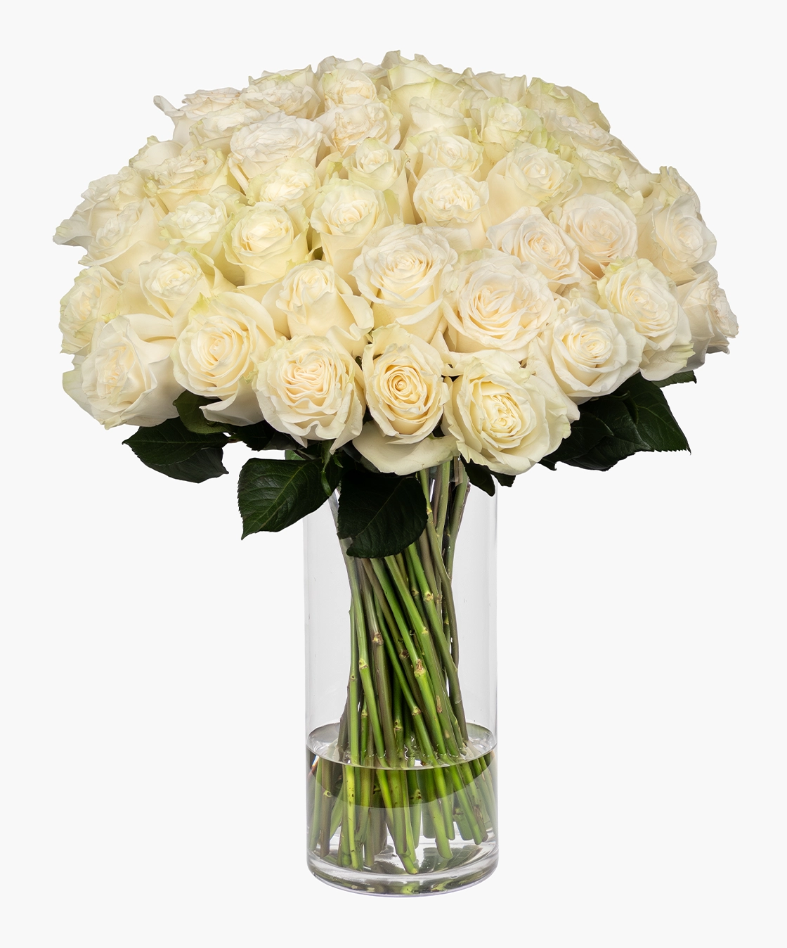 Rose Premier Vase