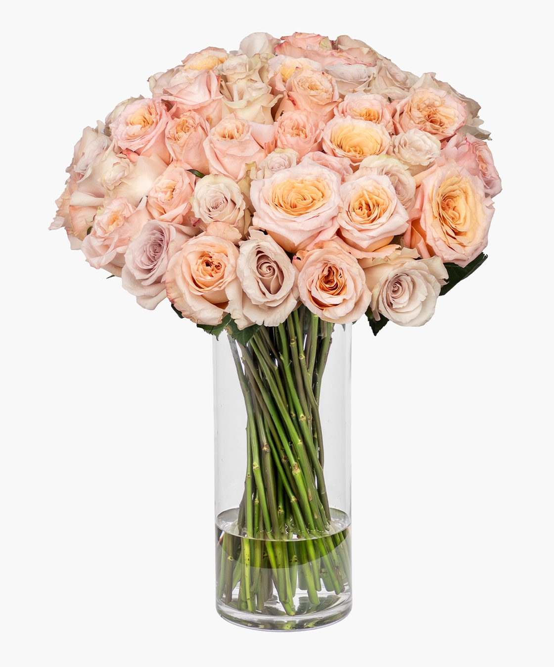 Royale Rose Vase