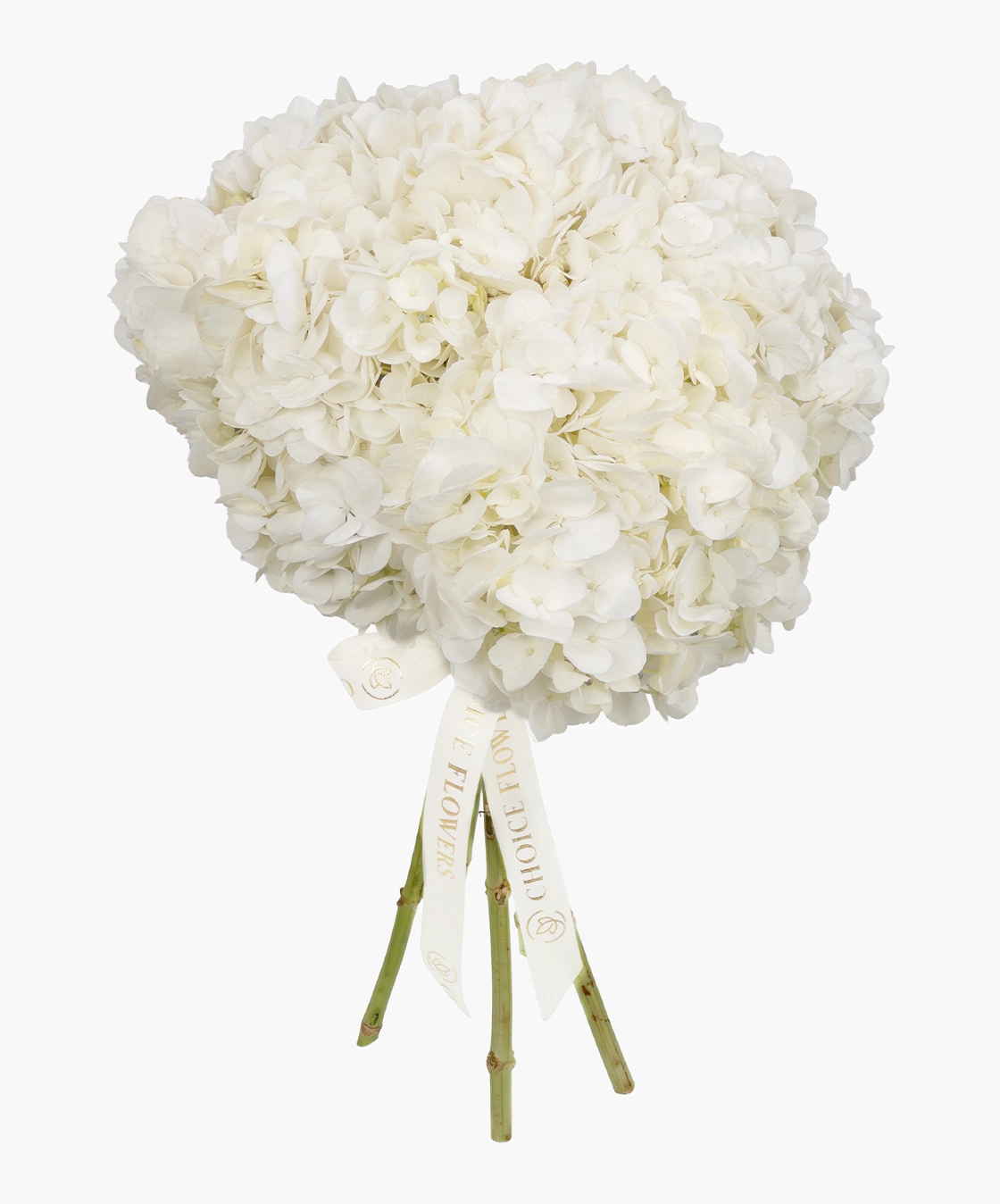 Hydrangea Luxe Bunch
