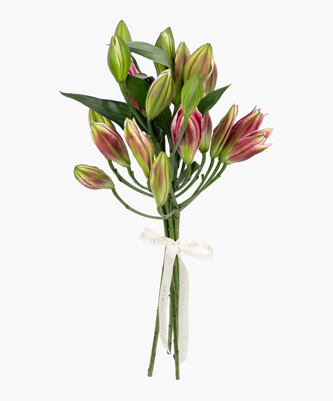 Deluxe Lily Bunch