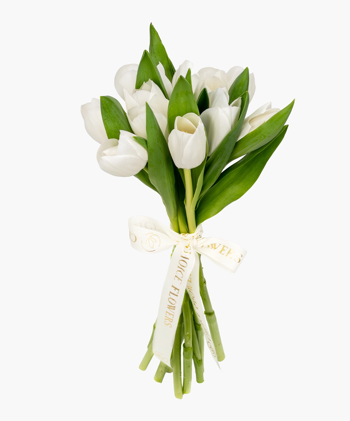 Floral Tulip Bunch