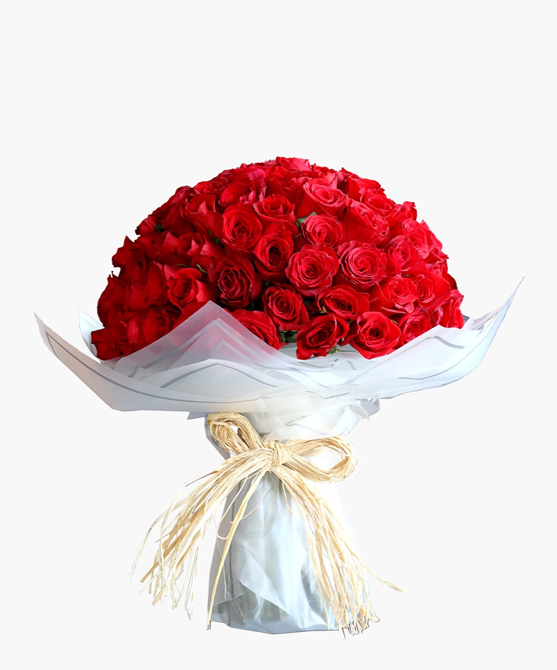 Passionate Red Rose