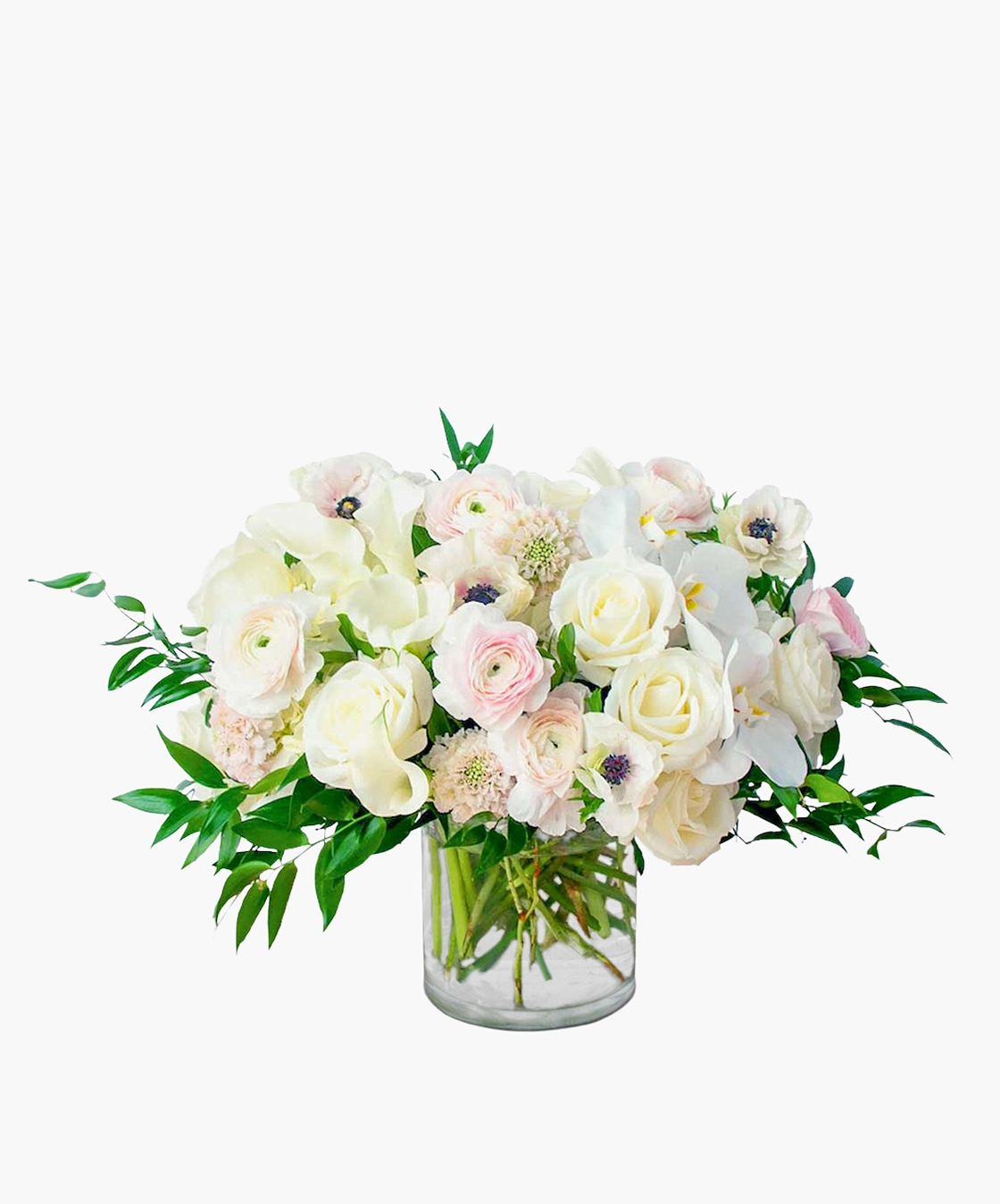 Pure Ivory Serenity