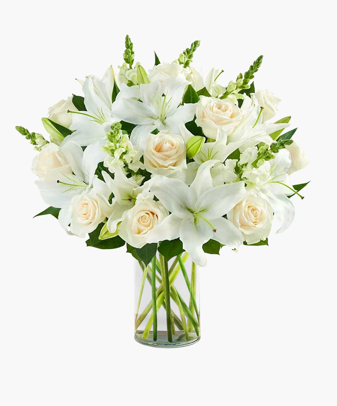 Lily Rose Classic