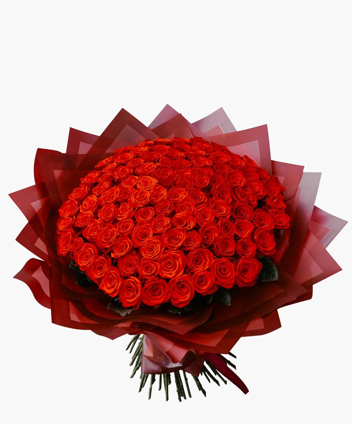 Crimson Rose Desire