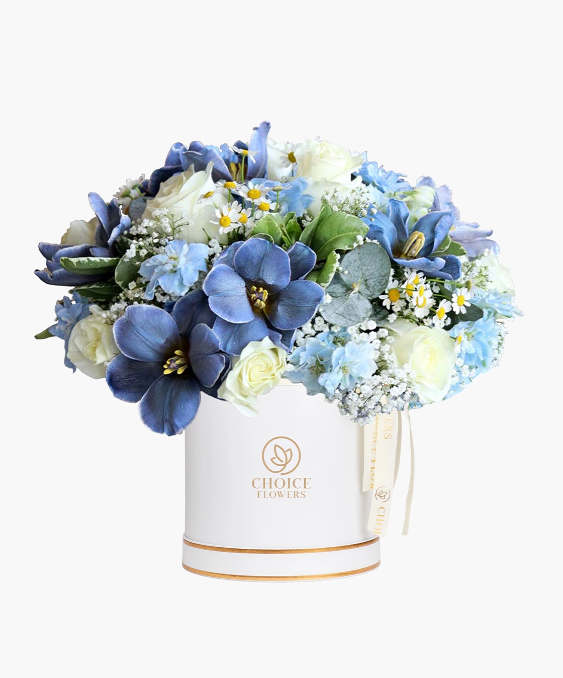 Radiant Occasion Box