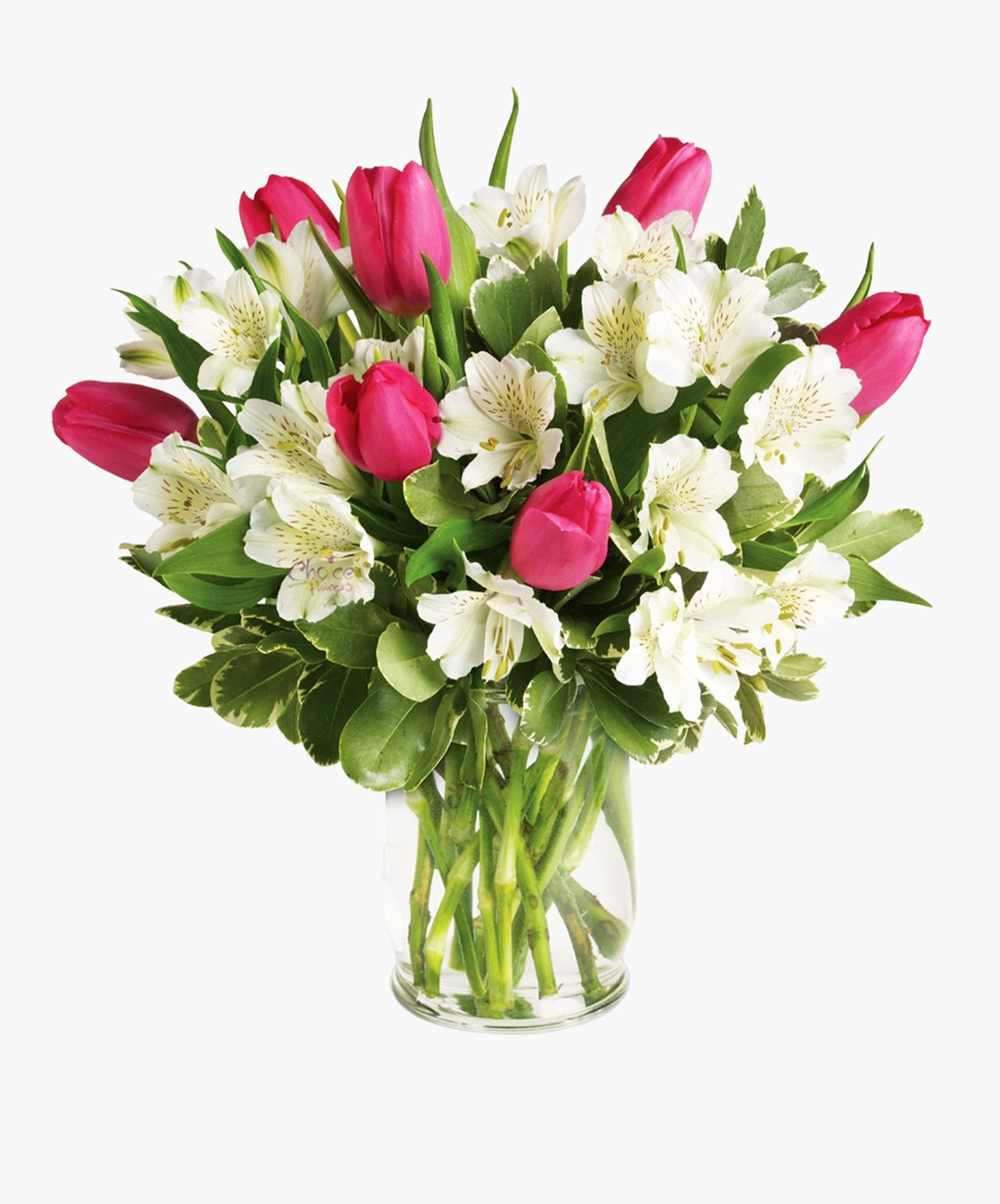 Soft Elegance Vase