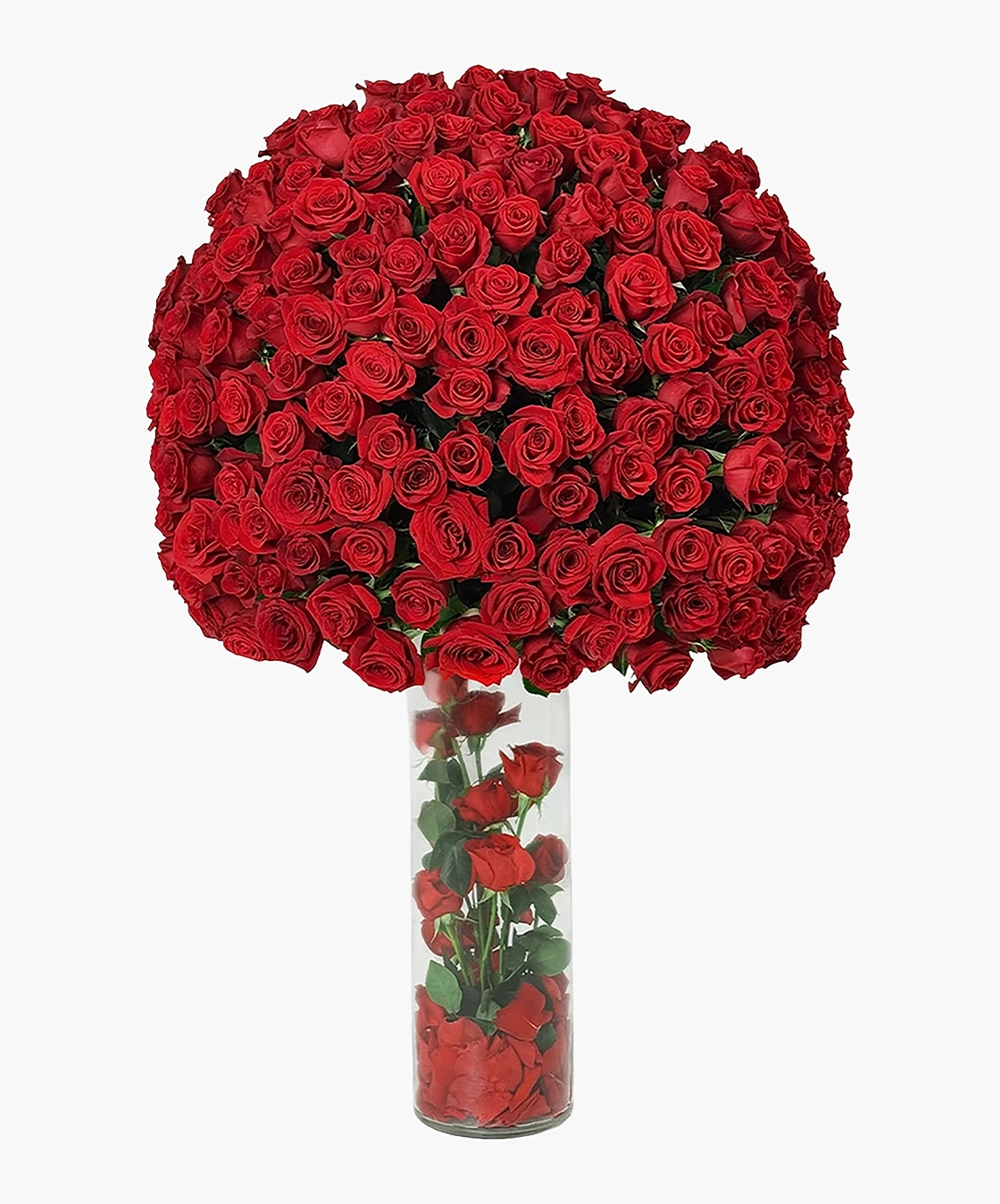 Luxury Red Rose Vase