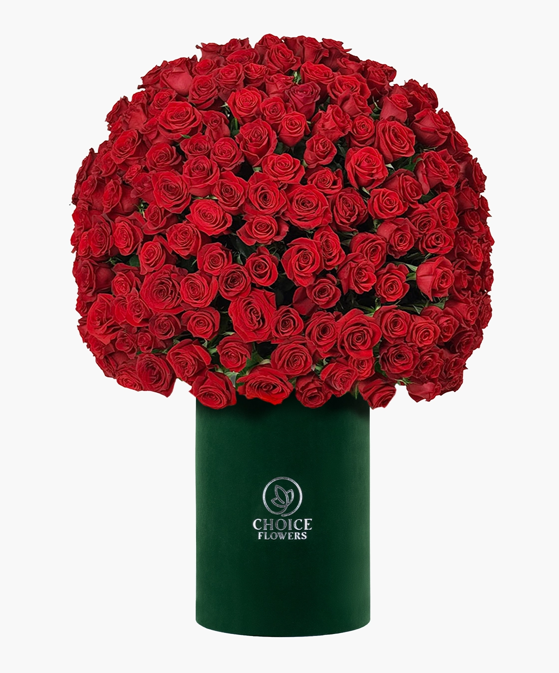 Luxury Red Rose