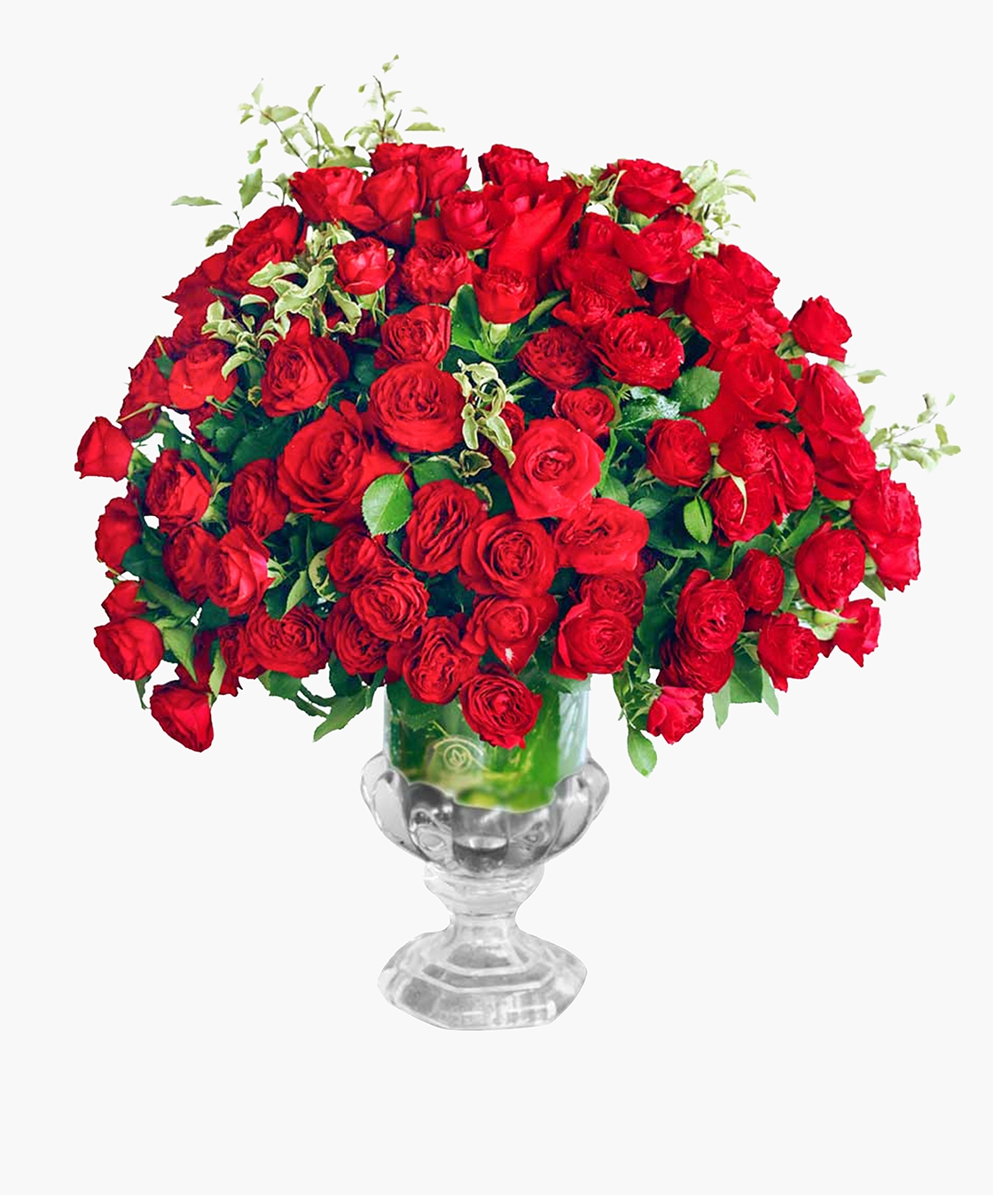 Enchanting Red