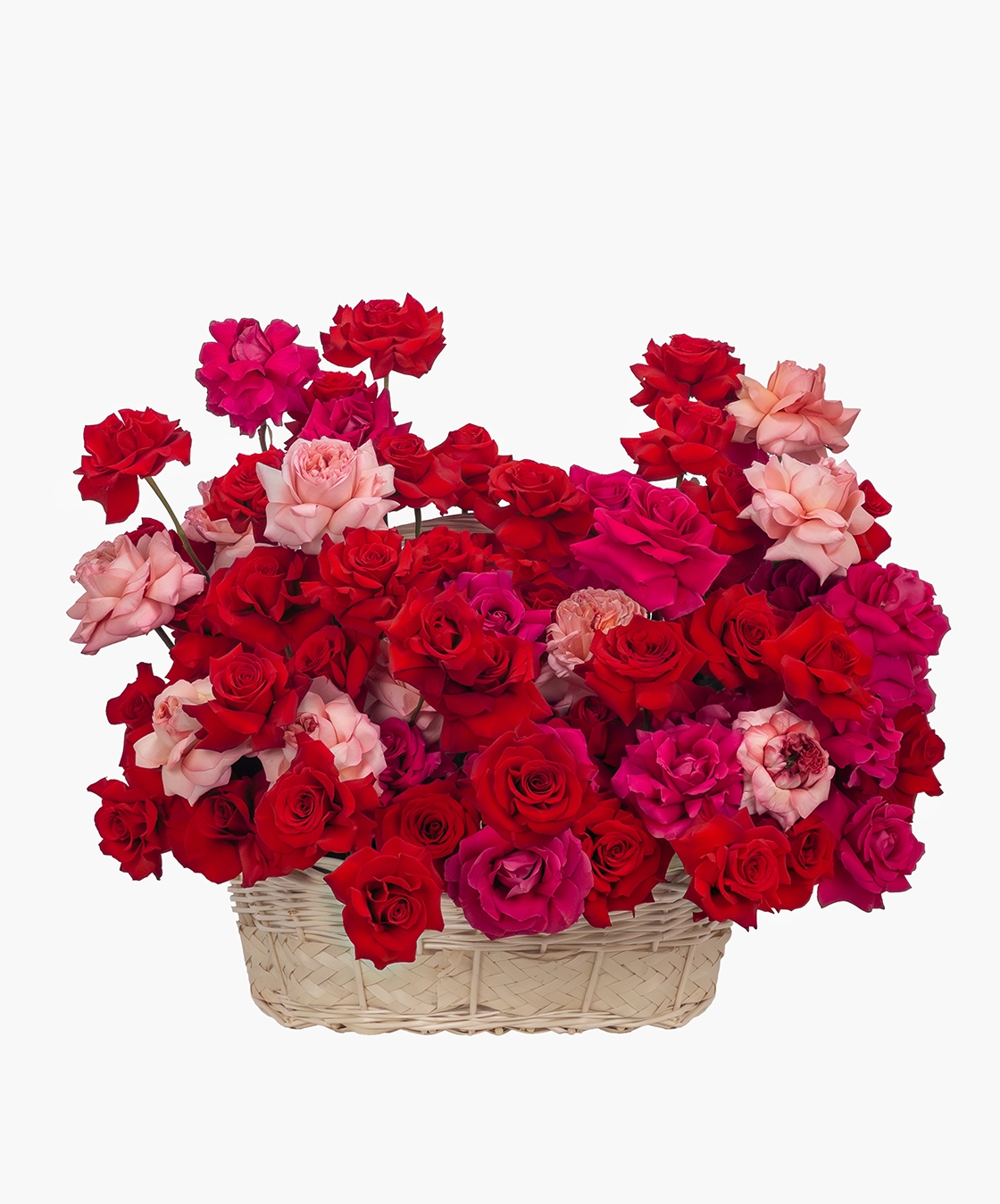 Luxury Garden Roses