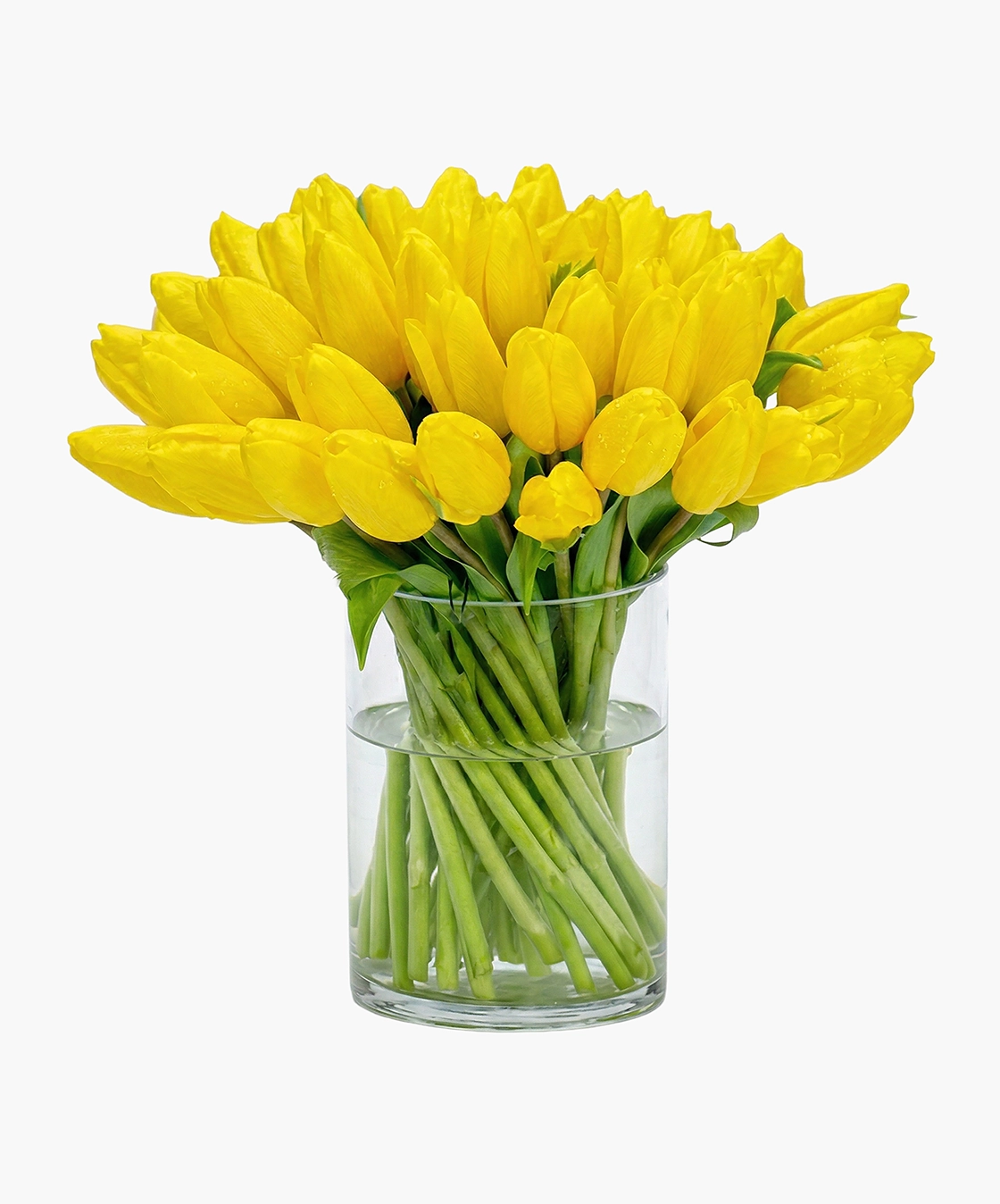 Yellow Tulip Vase