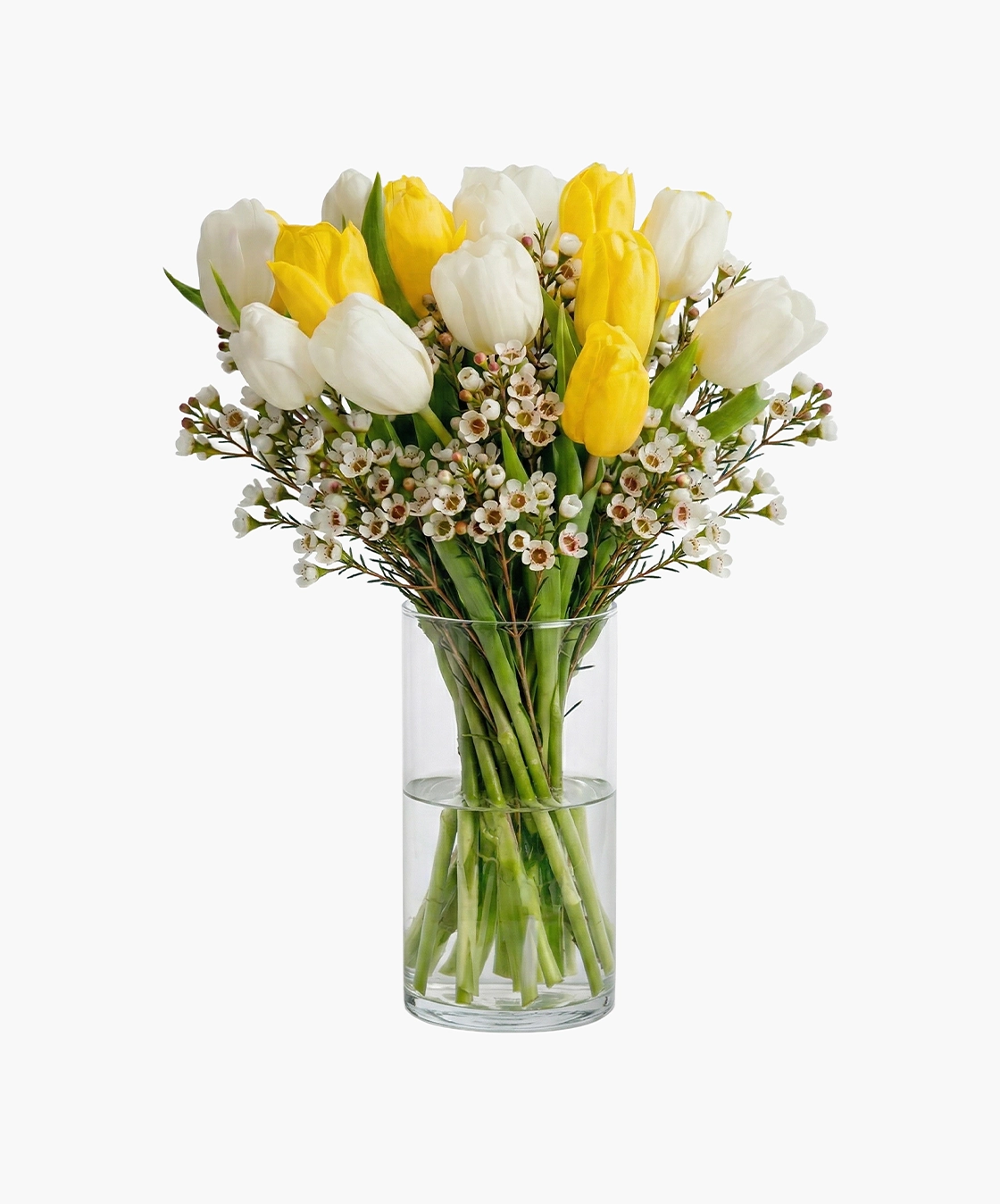 Tulip with Wax Vase