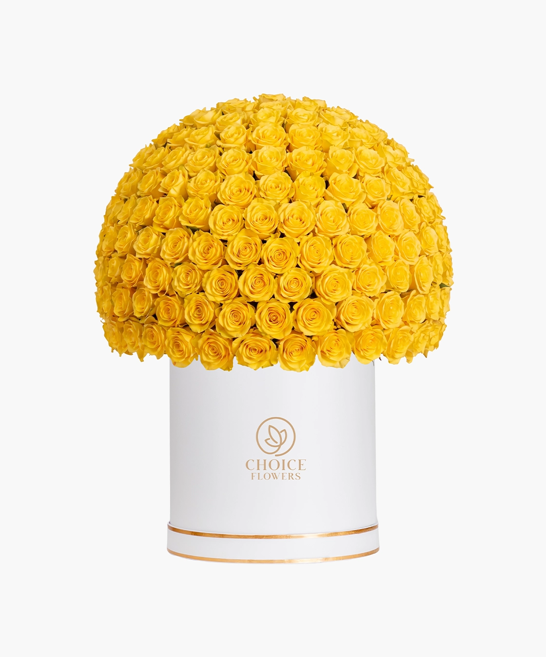 Golden Majesty Box