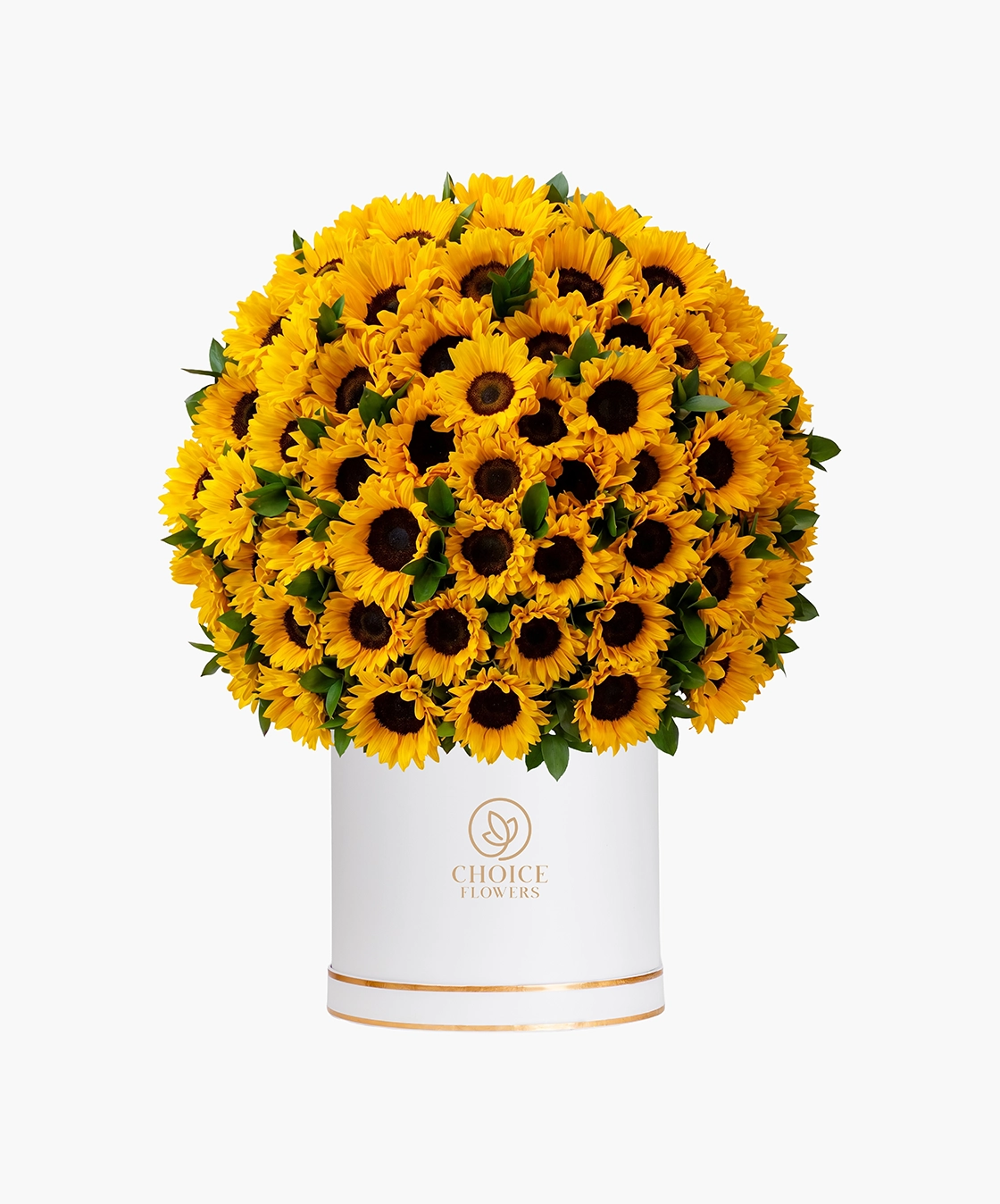 Sun Crown Box