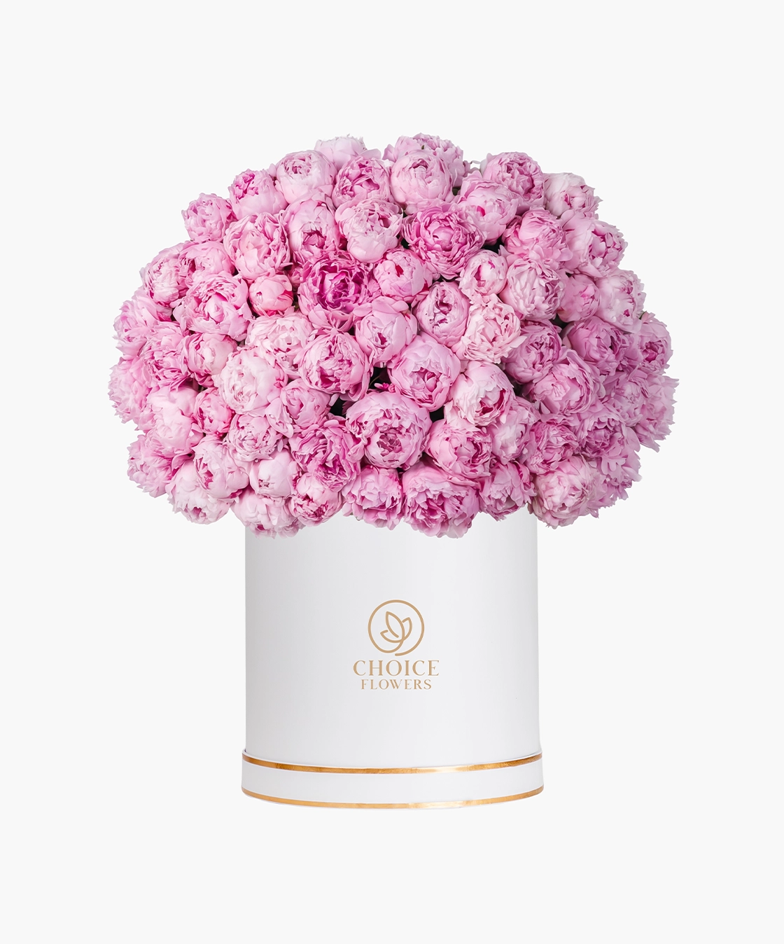 Peony Majesty Box
